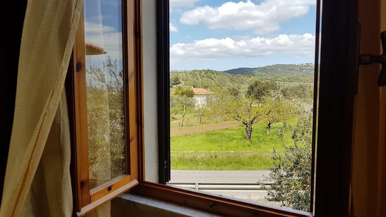 Bed & Breakfast Valle Degli Etruschi B&B Grilli